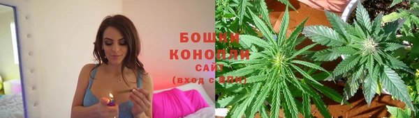 соль ск Богданович