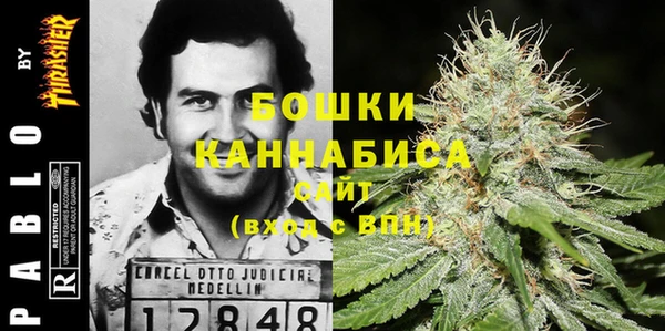 метадон Белокуриха