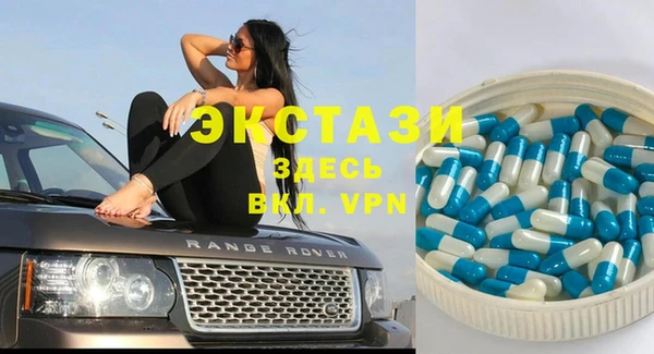 мдпв Бородино